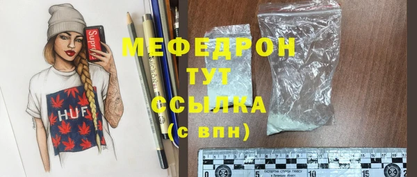 амф Ельня
